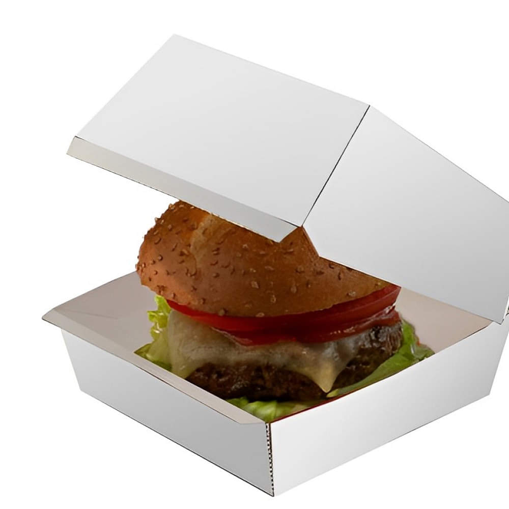 Craft Disposable Burger Box - photo
