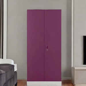Orlando 2 Door Steel Almirah - photo