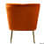 Home Lifestylez Clive Accent Chair - rear_view