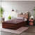 Crocus Single Size Engineered Wood Bed - photo