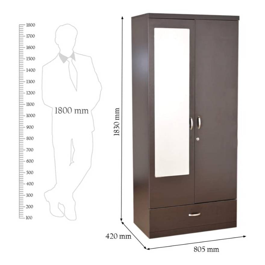 Sugi Double Door Wardrobe (Dark Brown)