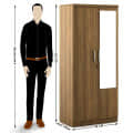 Catalina Double Door Engineered Wood Wardrobe - rear_view