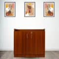 Bergen 2 Door Shoe Cabinet in Walnut Finish - photo