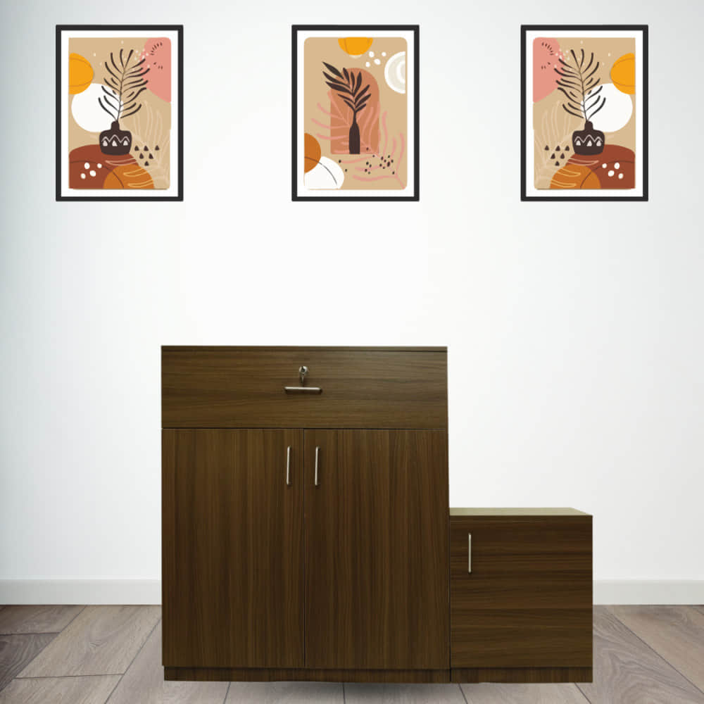 Aral Shoe Cabinet With 3 Shelves and 1 Drawer - photo