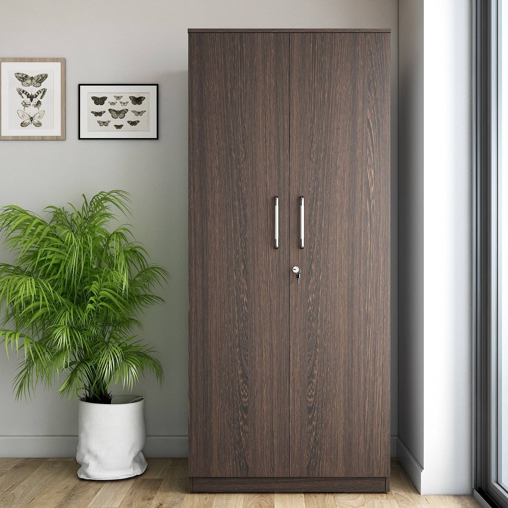 Sugi 2 Door Engineered Wood Wardrobe With Drawer