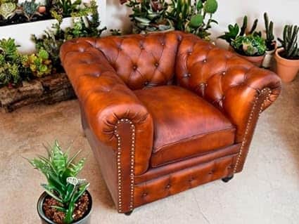 Orleans Single Seater Leather Sofa for Home,Living Room,Hall - rear_view