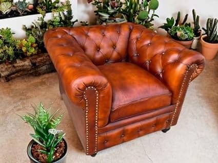 Orleans Single Seater Leather Sofa for Home,Living Room,Hall