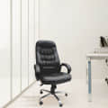 Ergonomic High Back Chair - photo