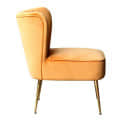 Tauras Wing Back Velvet Chair - rear_view