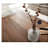 Solid Acacia Wood Coffee Table | Wooden Sofa Table with Open Storage |Center Table for Drawing Room | Coffee Table for Living, Natural Finish - top_view