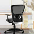Barcelona Adjustable Office Chair with Lumber Support - photo