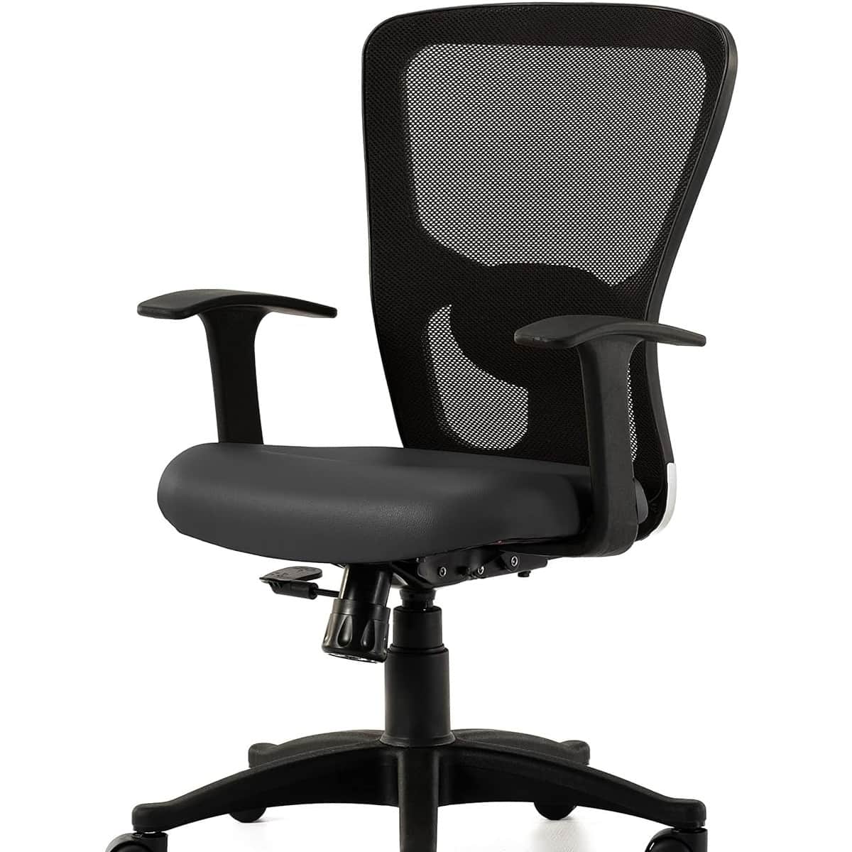 Barcelona Adjustable Office Chair with Lumber Support - rear_view