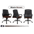 Mesh Mid-Back Ergonomic Office Chair - rear_view