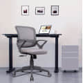 Mesh Mid-Back Ergonomic Office Chair - photo