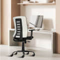 Posh Mesh Mid Back Chair (Black) - photo