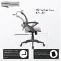 Mesh Mid-Back Ergonomic Office Chair - rear_view