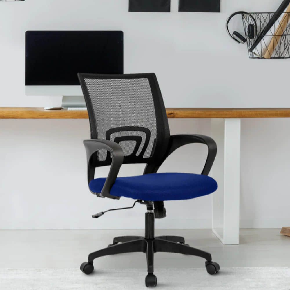 Mesh Blue Back Executive Office Chair - photo