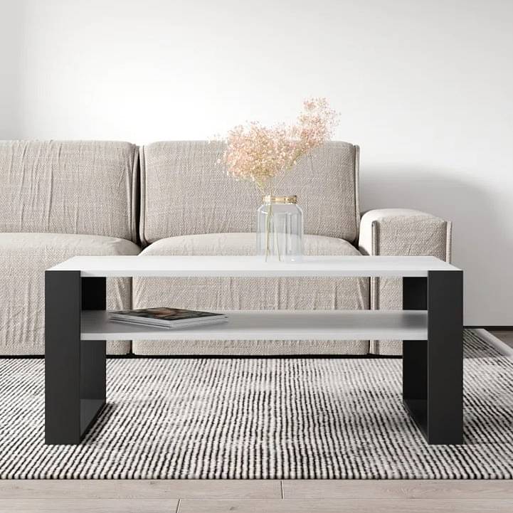 Marin Engineered wooden coffee Table(White & Dark Brown)