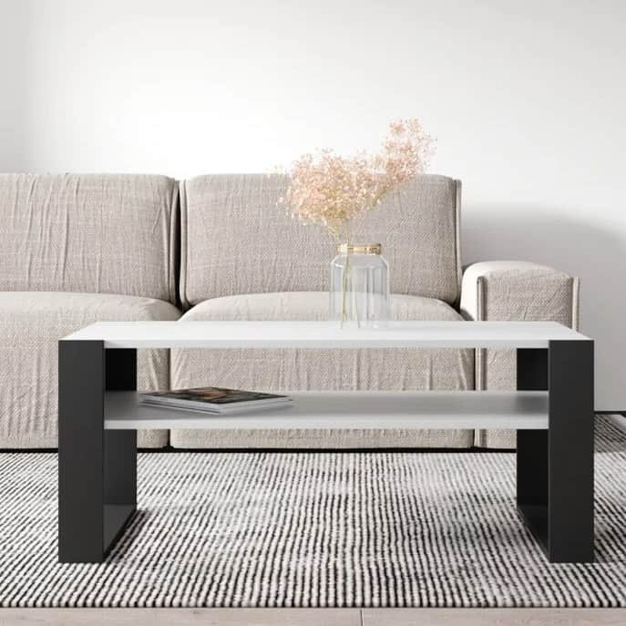Marin Engineered wooden coffee Table(White & Dark Brown) - front_view