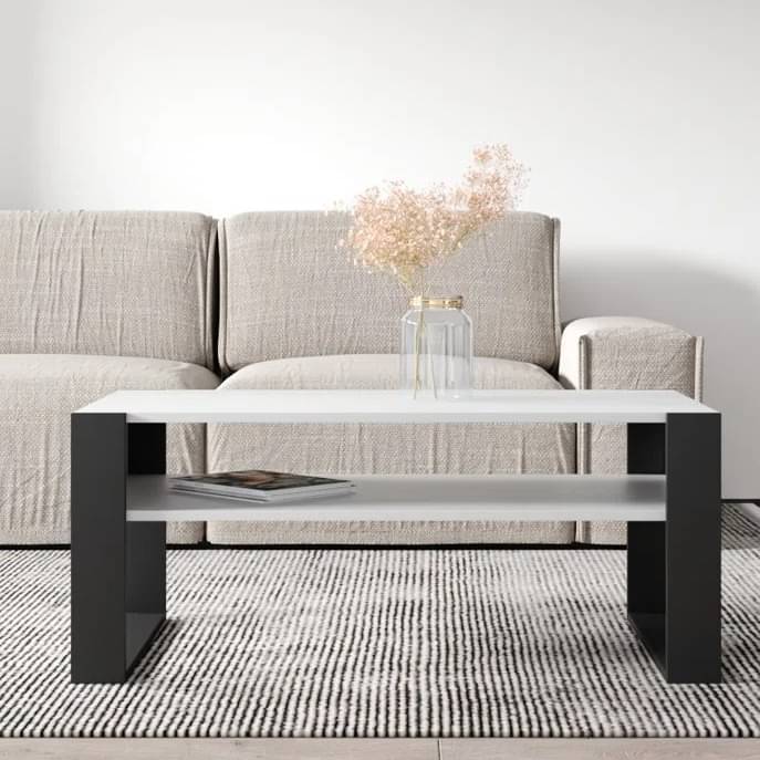 Marin Engineered wooden coffee Table(White & Dark Brown)