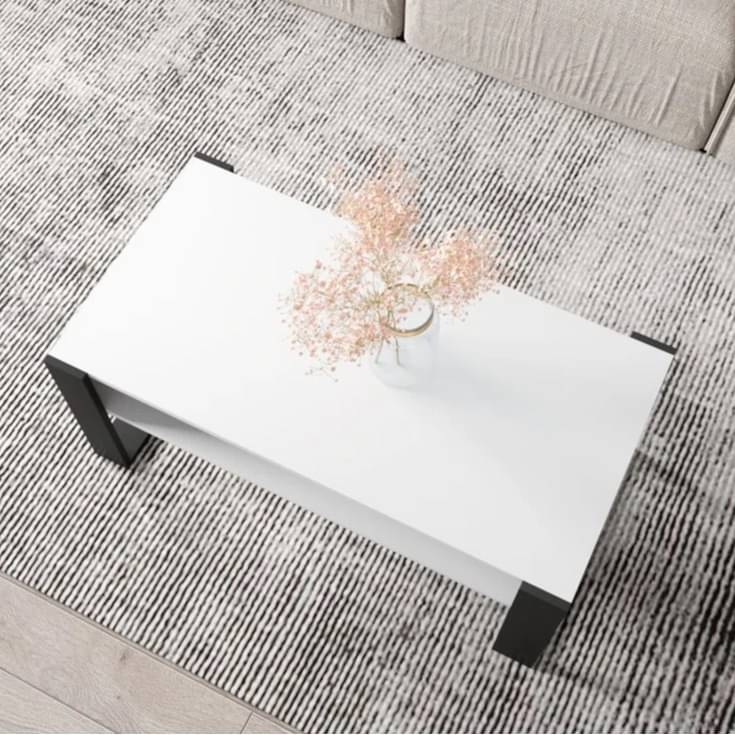 Marin Engineered wooden coffee Table(White & Dark Brown)