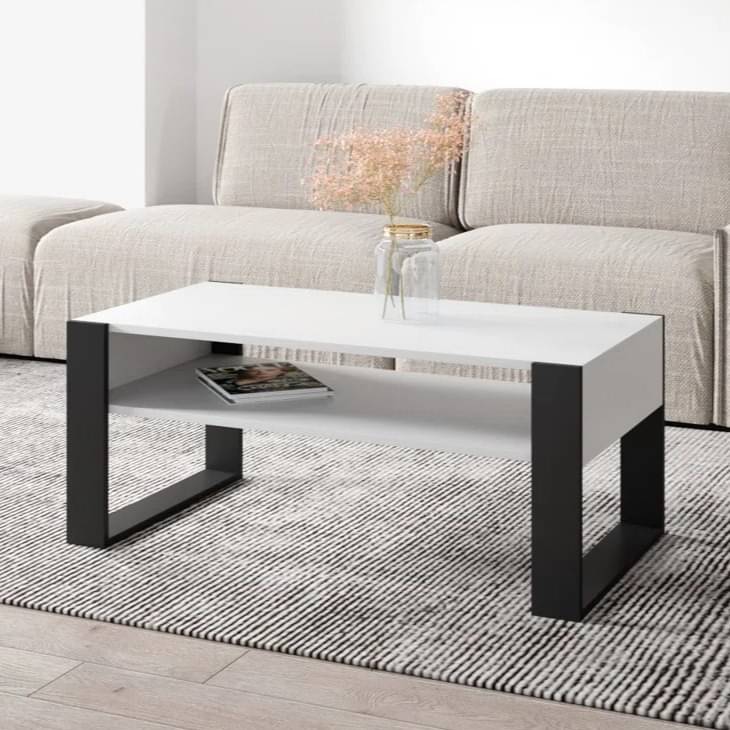 Marin Engineered wooden coffee Table(White & Dark Brown)