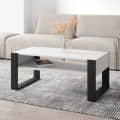 Marin Engineered wooden coffee Table(White & Dark Brown) - rear_view