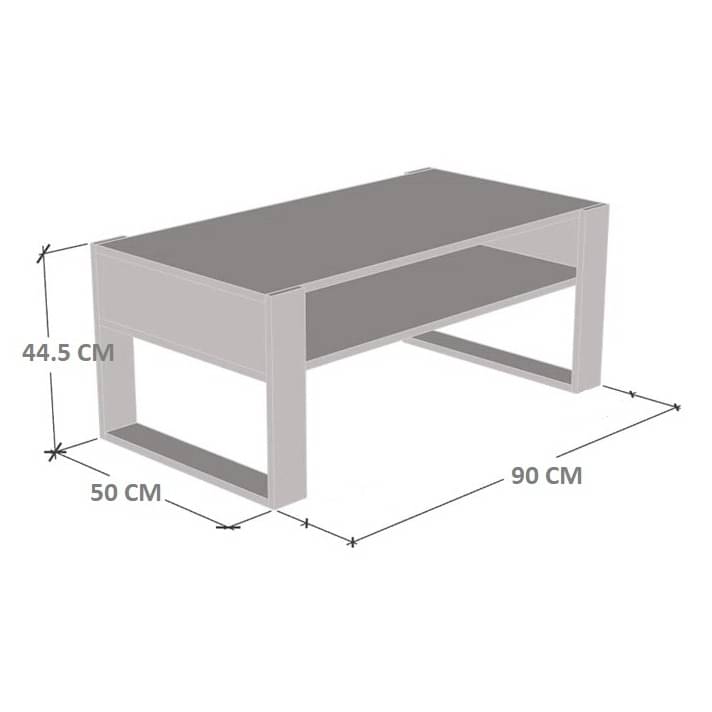 Marin Engineered wooden coffee Table(White & Dark Brown)