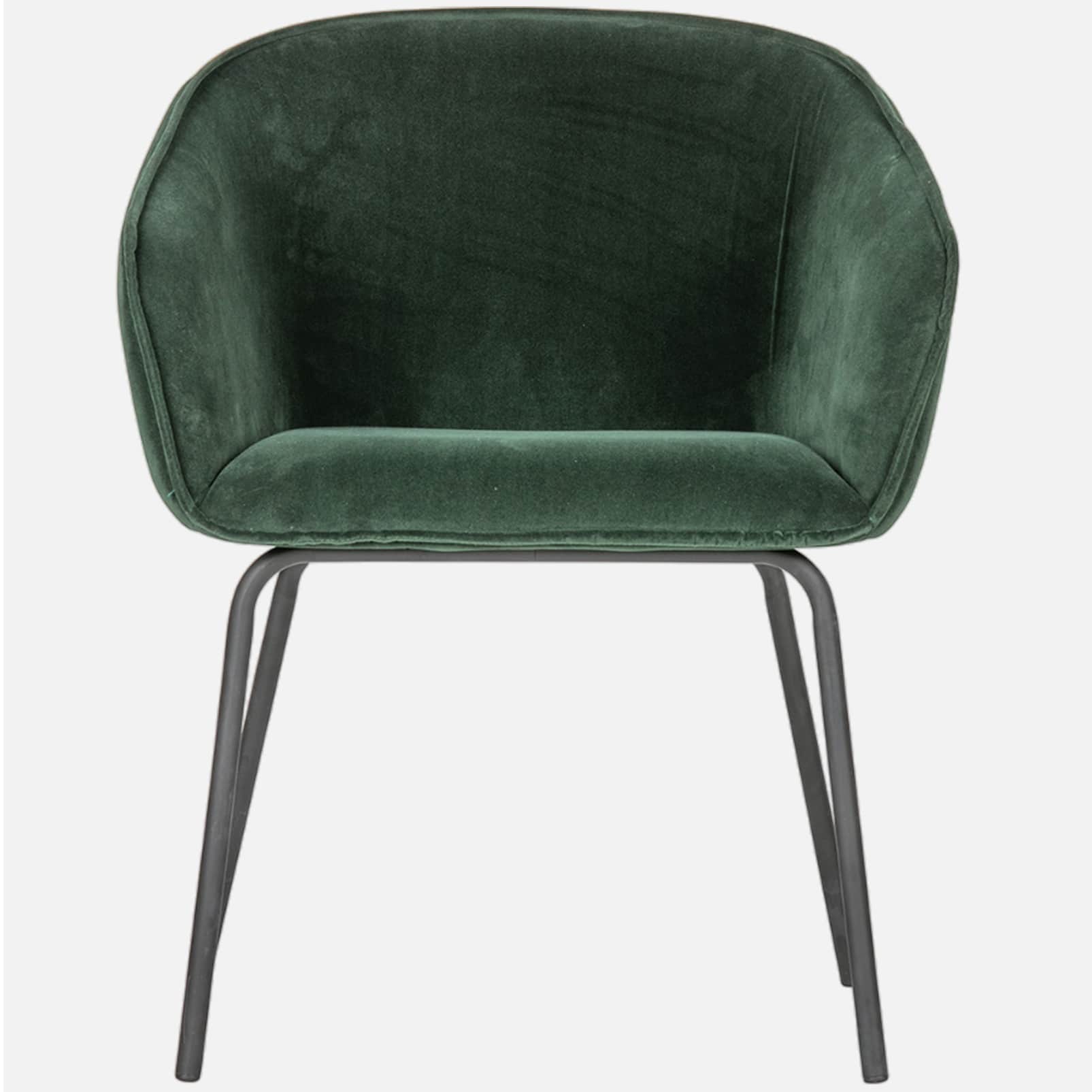 Patron Metal Arm Chair in Green color - rear_view