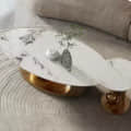 Slaric Gold oval Coffee Table(set of 2) - left_view