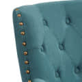 TEAL - rear_view