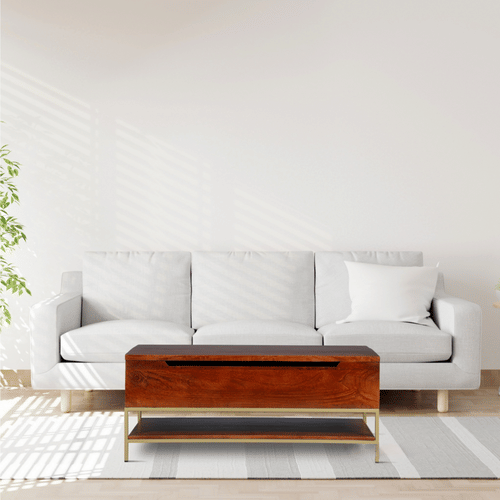 Arlot Mango Wooden Coffee Table With storage