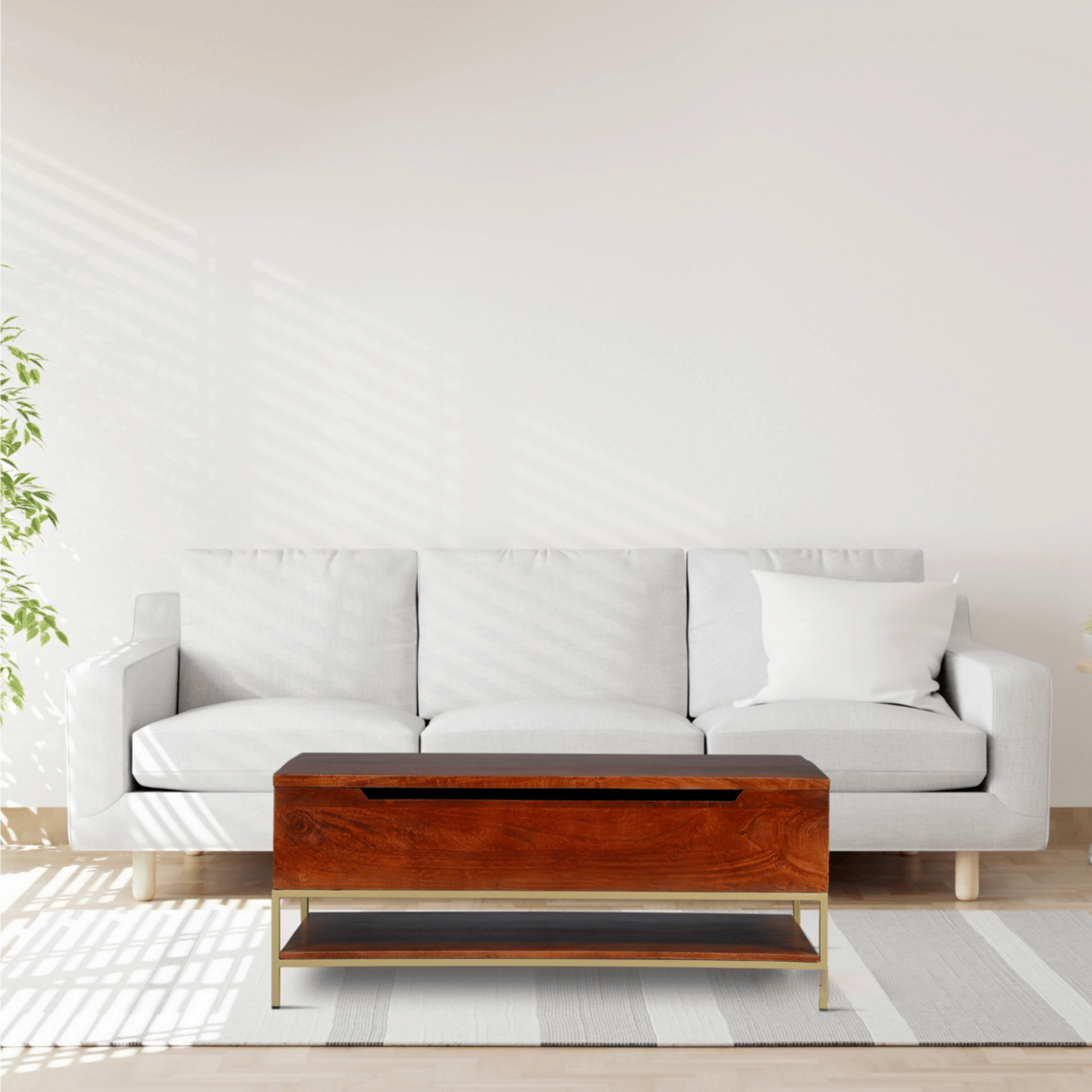 Arlot Mango Wooden Coffee Table With storage