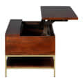 Arlot Mango Wooden Coffee Table With storage - front_view