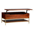 Arlot Mango Wooden Coffee Table With storage - top_view