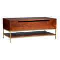 Arlot Mango Wooden Coffee Table With storage - rear_view