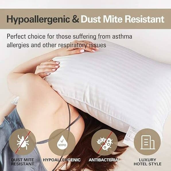 Soft Microfiber Pillow Set Of 2, 100% Soft Quality (White)