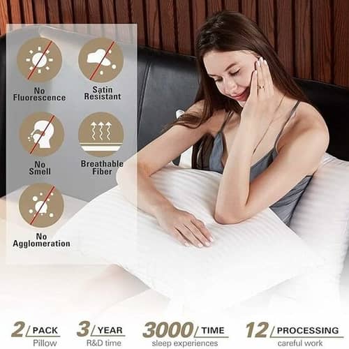 Soft Microfiber Pillow Set Of 2, 100% Soft Quality (White)