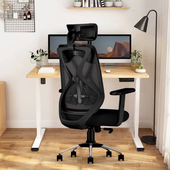 Ergonomic Mesh Executive Office & Home Chair (Black)