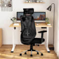 Ergonomic Mesh Executive Office & Home Chair (Black) - photo