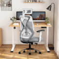 Ergonomic Mesh Executive Office & Home Chair (Grey & White) - photo