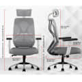 Ergonomic Mesh Executive Office & Home Chair (Grey & White) - front_view