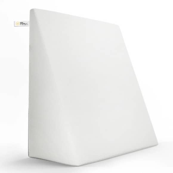 SpineAlign Support Cushion (19x20x10 Inch)